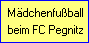 Mfussball.gif (1229 Byte)